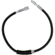 Purchase Top-Quality Front Brake Hose by RAYBESTOS - BH383074 pa12