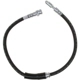 Purchase Top-Quality Front Brake Hose by RAYBESTOS - BH383074 pa2