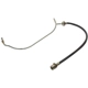 Purchase Top-Quality Front Brake Hose by RAYBESTOS - BH38309 pa4