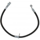 Purchase Top-Quality Front Brake Hose by RAYBESTOS - BH383110 pa11