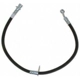 Purchase Top-Quality Front Brake Hose by RAYBESTOS - BH383110 pa2