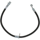 Purchase Top-Quality Front Brake Hose by RAYBESTOS - BH383110 pa4