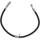Purchase Top-Quality Front Brake Hose by RAYBESTOS - BH383110 pa8