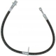 Purchase Top-Quality Front Brake Hose by RAYBESTOS - BH383111 pa11
