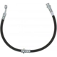 Purchase Top-Quality Front Brake Hose by RAYBESTOS - BH383113 pa8