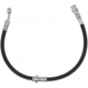 Purchase Top-Quality Front Brake Hose by RAYBESTOS - BH383113 pa9