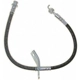 Purchase Top-Quality Front Brake Hose by RAYBESTOS - BH383123 pa2