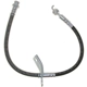 Purchase Top-Quality Front Brake Hose by RAYBESTOS - BH383123 pa4