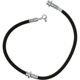 Purchase Top-Quality Front Brake Hose by RAYBESTOS - BH383146 pa13