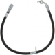 Purchase Top-Quality Front Brake Hose by RAYBESTOS - BH383164 pa10
