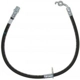Purchase Top-Quality Front Brake Hose by RAYBESTOS - BH383164 pa11