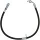 Purchase Top-Quality Front Brake Hose by RAYBESTOS - BH383164 pa2