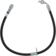 Purchase Top-Quality Front Brake Hose by RAYBESTOS - BH383164 pa8