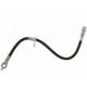 Purchase Top-Quality Front Brake Hose by RAYBESTOS - BH383166 pa6