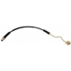 Purchase Top-Quality Front Brake Hose by RAYBESTOS - BH38317 pa1