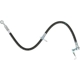 Purchase Top-Quality Front Brake Hose by RAYBESTOS - BH383190 pa14