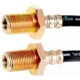 Purchase Top-Quality Front Brake Hose by RAYBESTOS - BH38320 pa5