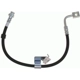 Purchase Top-Quality RAYBESTOS - BH383200 - Front Brake Hose pa9