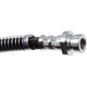 Purchase Top-Quality Front Brake Hose by RAYBESTOS - BH383304 pa13