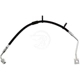 Purchase Top-Quality Front Brake Hose by RAYBESTOS - BH383314 pa13