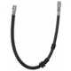 Purchase Top-Quality Front Brake Hose by RAYBESTOS - BH383353 pa2