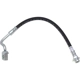 Purchase Top-Quality Front Brake Hose by RAYBESTOS - BH383391 pa11