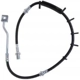 Purchase Top-Quality Front Brake Hose by RAYBESTOS - BH383393 pa6