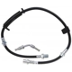 Purchase Top-Quality Front Brake Hose by RAYBESTOS - BH383399 pa7