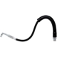 Purchase Top-Quality Front Brake Hose by RAYBESTOS - BH383409 pa11
