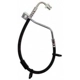 Purchase Top-Quality Front Brake Hose by RAYBESTOS - BH383439 pa1