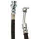 Purchase Top-Quality Front Brake Hose by RAYBESTOS - BH383453 pa1