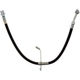 Purchase Top-Quality Front Brake Hose by RAYBESTOS - BH383453 pa2
