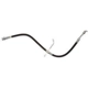 Purchase Top-Quality Front Brake Hose by RAYBESTOS - BH383454 pa2