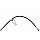 Purchase Top-Quality Front Brake Hose by RAYBESTOS - BH383487 pa8