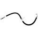 Purchase Top-Quality Front Brake Hose by RAYBESTOS - BH383553 pa20