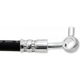 Purchase Top-Quality Front Brake Hose by RAYBESTOS - BH383555 pa17