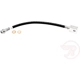 Purchase Top-Quality Front Brake Hose by RAYBESTOS - BH383565 pa1