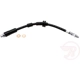 Purchase Top-Quality Front Brake Hose by RAYBESTOS - BH383592 pa5