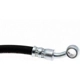 Purchase Top-Quality Front Brake Hose by RAYBESTOS - BH383606 pa8
