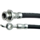 Purchase Top-Quality Front Brake Hose by RAYBESTOS - BH38362 pa1
