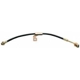 Purchase Top-Quality Front Brake Hose by RAYBESTOS - BH38365 pa1