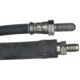 Purchase Top-Quality Front Brake Hose by RAYBESTOS - BH38366 pa5