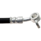 Purchase Top-Quality Front Brake Hose by RAYBESTOS - BH383672 pa11