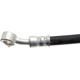 Purchase Top-Quality Front Brake Hose by RAYBESTOS - BH383698 pa1