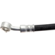 Purchase Top-Quality Front Brake Hose by RAYBESTOS - BH383698 pa9