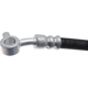 Purchase Top-Quality Front Brake Hose by RAYBESTOS - BH383699 pa1