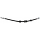 Purchase Top-Quality Front Brake Hose by RAYBESTOS - BH383705 pa1