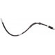 Purchase Top-Quality Front Brake Hose by RAYBESTOS - BH383711 pa6