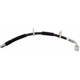 Purchase Top-Quality Front Brake Hose by RAYBESTOS - BH383712 pa2