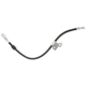 Purchase Top-Quality Front Brake Hose by RAYBESTOS - BH383728 pa2